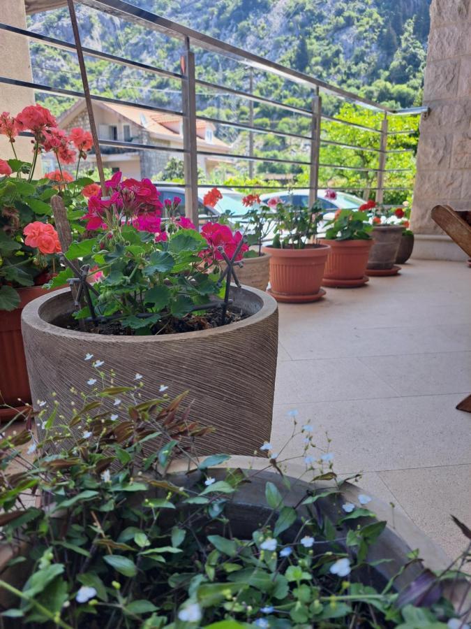 קוטור Apartment Benvenuti מראה חיצוני תמונה