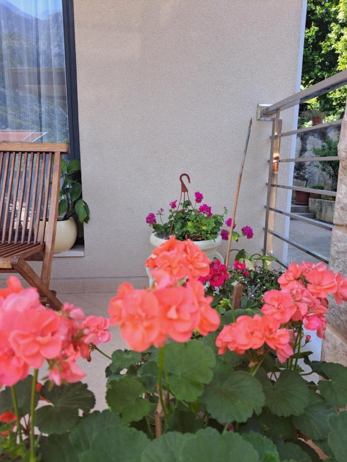 קוטור Apartment Benvenuti מראה חיצוני תמונה
